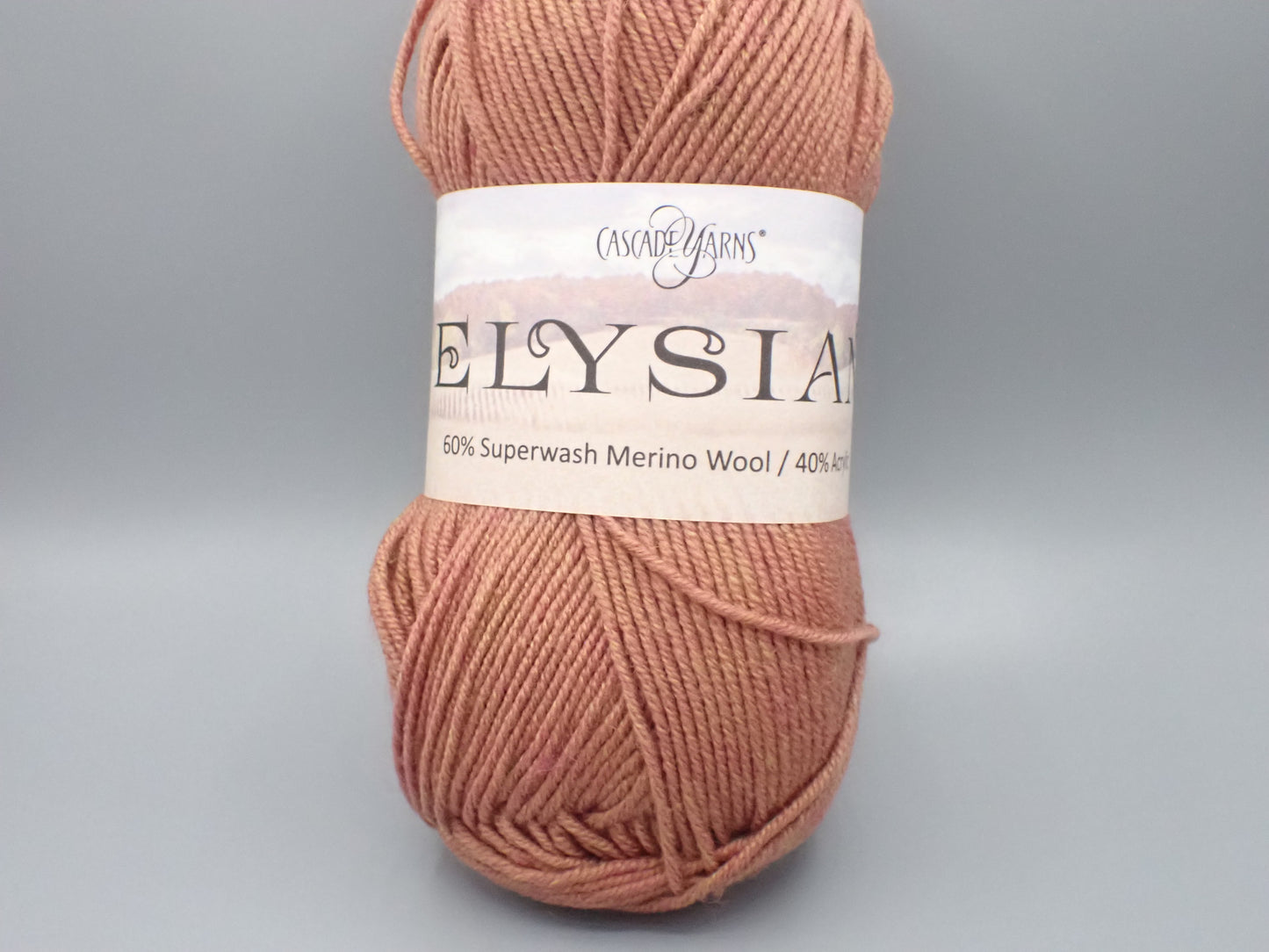 Cascade Yarns Elysian DK weight Amber Heather