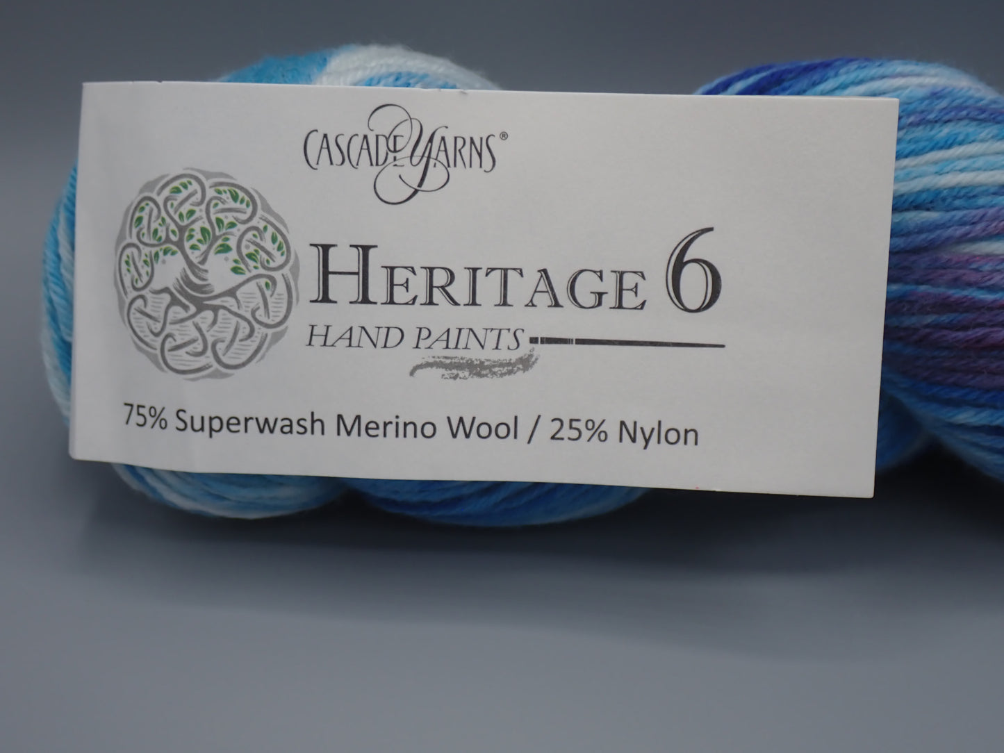 Cascade Yarns Heritage 6 Hand Paints Sock weight Glacier