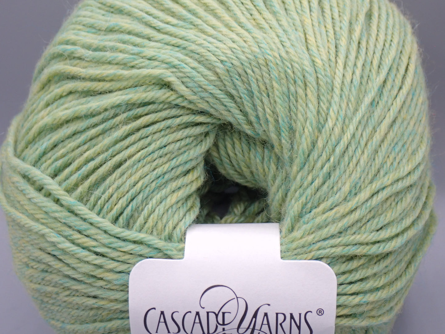 Cascade Yarns 220 Superwash DK weight Celery