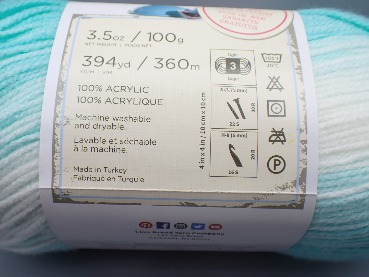 Lion Brand Yarns DK weight Ice Cream Mint
