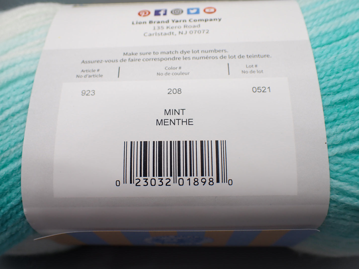 Lion Brand Yarns DK weight Ice Cream Mint