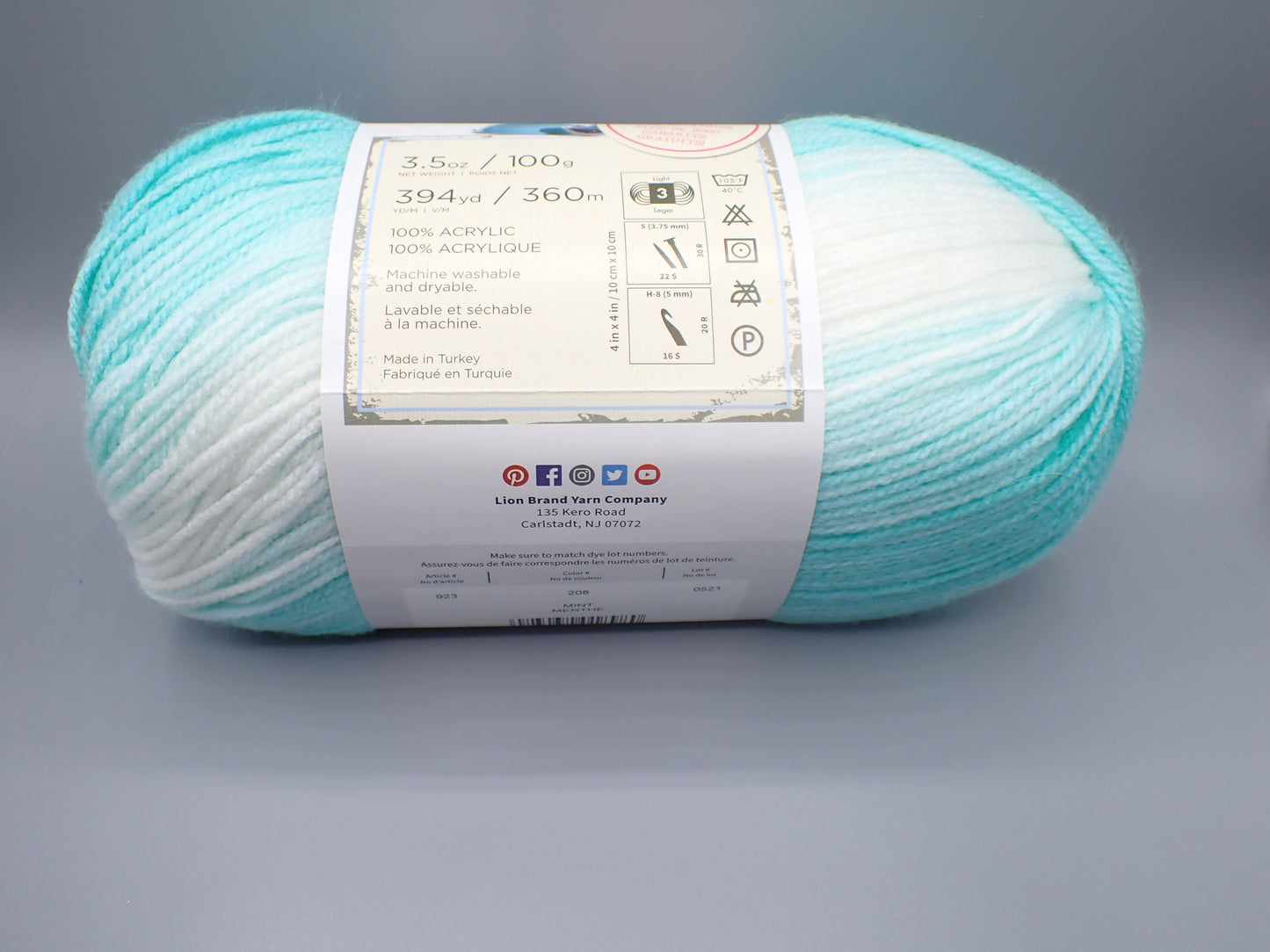 Lion Brand Yarns DK weight Ice Cream Mint