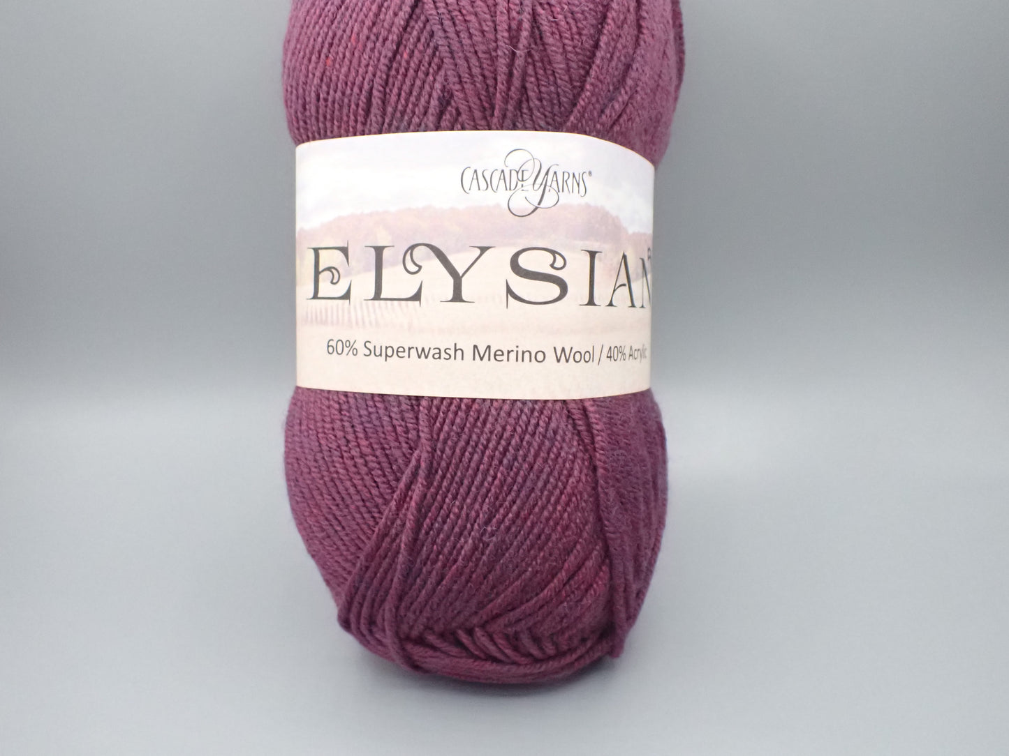 Cascade Yarns Elysian DK weight Berry Heather