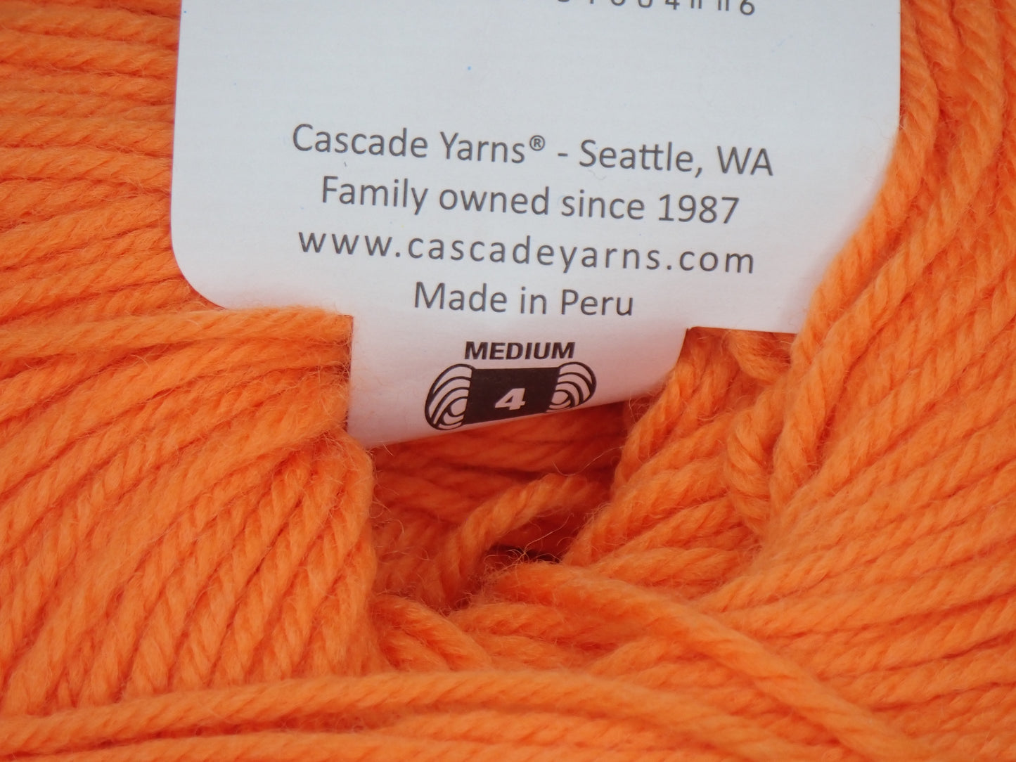 Cascade Yarns 220 Superwash DK weight Autumn Sunset